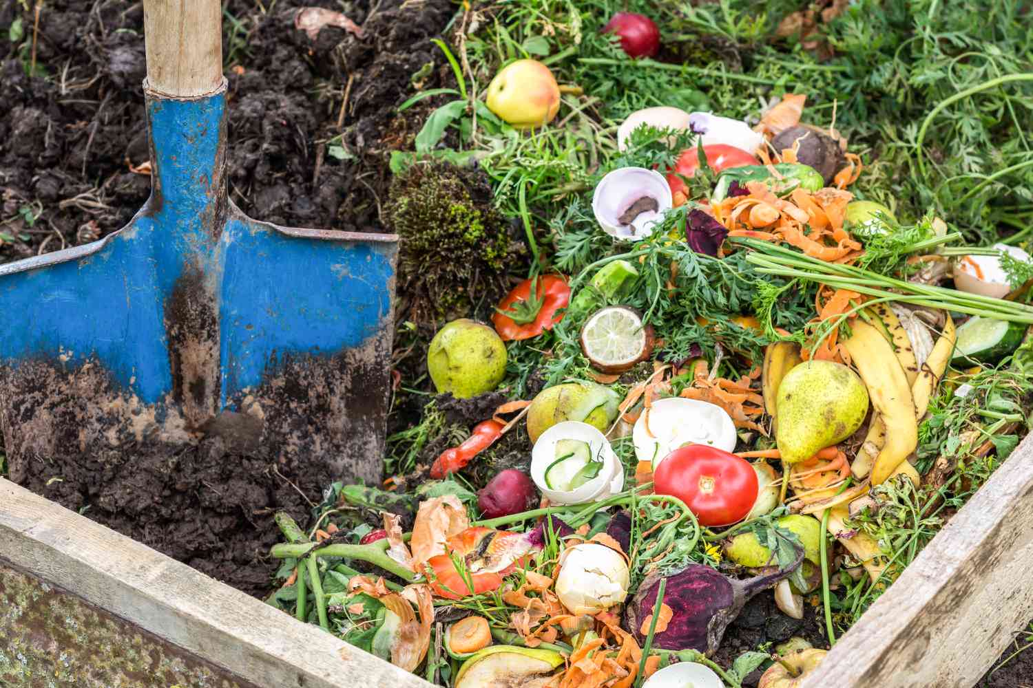 Sustainable food